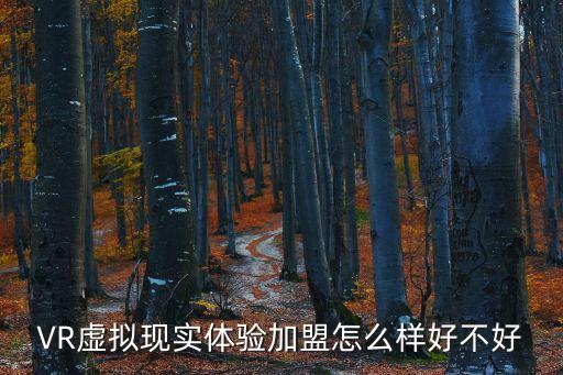 VR虛擬現(xiàn)實(shí)體驗(yàn)加盟怎么樣好不好