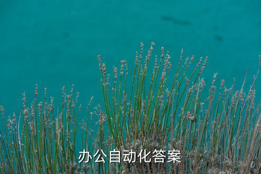 辦公自動(dòng)化技術(shù)與應(yīng)用第二版答案，全國信息技術(shù)及應(yīng)用培訓(xùn)教育工程試題  辦公自動(dòng)化 模擬卷