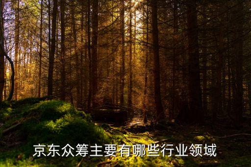 眾籌公司經(jīng)營(yíng)范圍，京東眾籌主要有哪些行業(yè)領(lǐng)域