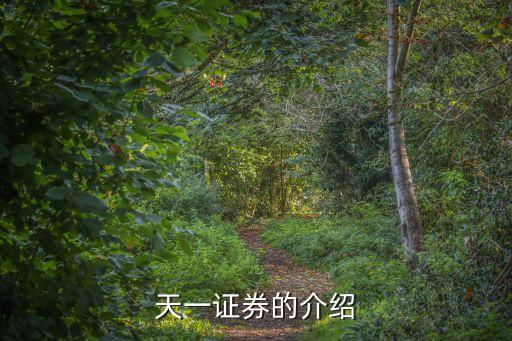 天一證券的介紹