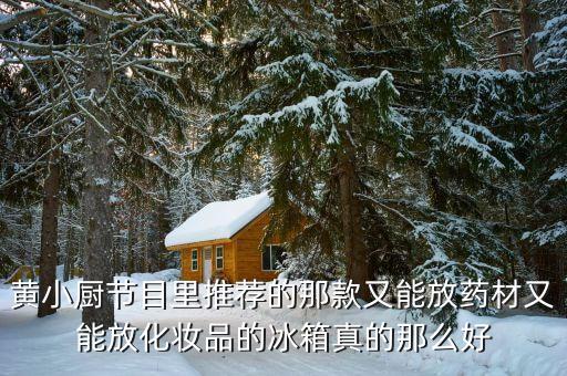黃小廚節(jié)目里推薦的那款又能放藥材又能放化妝品的冰箱真的那么好
