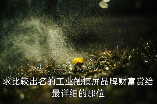 國產(chǎn)工控觸摸屏排行，求比較出名的工業(yè)觸摸屏品牌財(cái)富賞給最詳細(xì)的那位