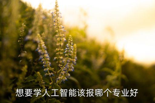 想要學(xué)人工智能該報(bào)哪個(gè)專業(yè)好