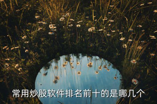 炒股黑科技軟件排名，十大炒股軟件 排行榜 哪個(gè)最好用