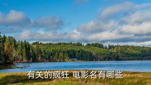 瘋狂大電影，瘋狂系列電影有哪些