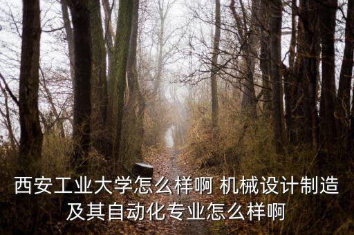 工業(yè)大學(xué)自動化專業(yè)怎么樣，合肥工大 自動化專業(yè)如何
