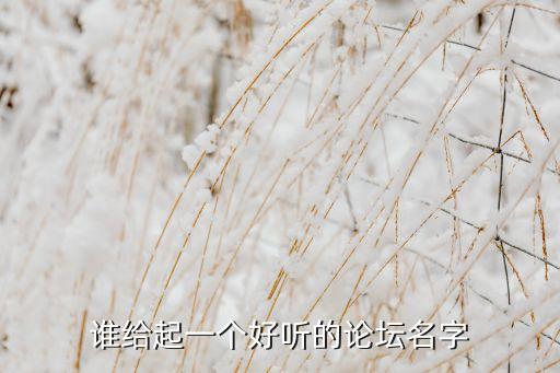 誰給起一個(gè)好聽的論壇名字