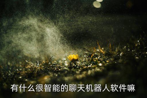 有什么很智能的聊天機器人軟件嘛