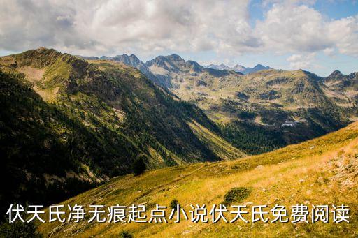 伏天氏凈無(wú)痕起點(diǎn)小說(shuō)伏天氏免費(fèi)閱讀