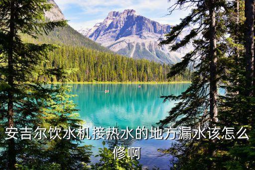安吉爾飲水機(jī)熱水口漏水怎么辦，安吉爾飲水機(jī)接熱水的地方漏水該怎么修啊