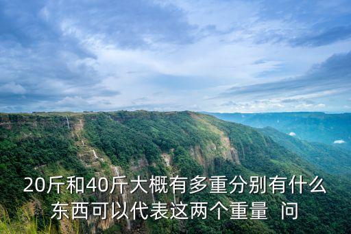 20斤和40斤大概有多重分別有什么東西可以代表這兩個(gè)重量  問(wèn)