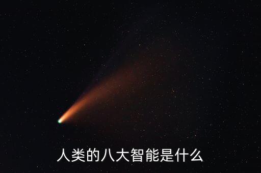 人類的八大智能是什么