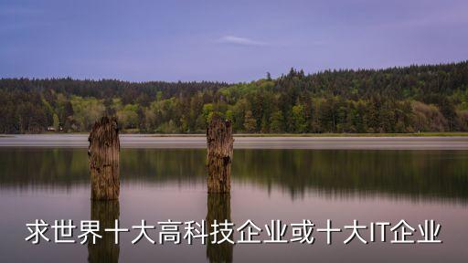 求世界十大高科技企業(yè)或十大IT企業(yè)