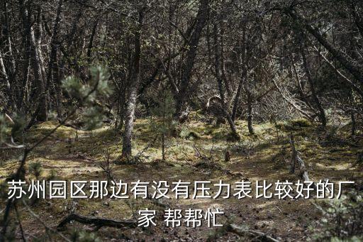 蘇州超群自動化設(shè)備有限公司，蘇州專業(yè)生產(chǎn)電阻焊自動焊接設(shè)備的公司是哪家