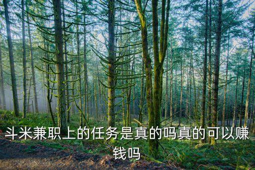 哆米任務賺錢嗎，斗米上真的有人賺到錢嗎就是那個手機上做任務的