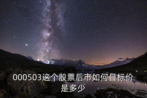 000503這個(gè)股票后市如何目標(biāo)價(jià)是多少
