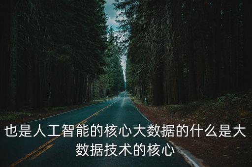 也是人工智能的核心大數(shù)據(jù)的什么是大數(shù)據(jù)技術(shù)的核心
