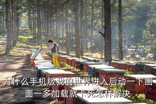 手機我的世界卡怎么辦，為什么手機版我的世界進入后動一下畫面一多加載就卡死怎樣解決