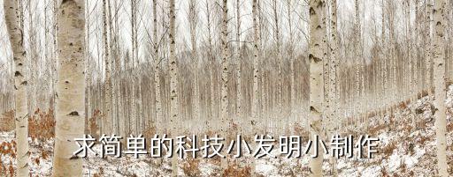 求簡單的科技小發(fā)明小制作