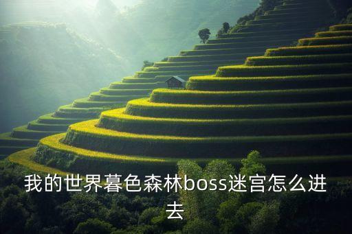 我的世界暮色森林boss迷宮怎么進(jìn)去