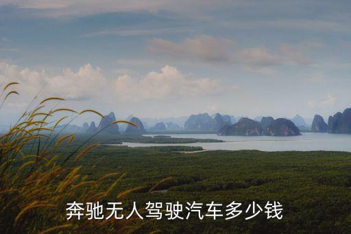 奔馳無人駕駛汽車多少錢