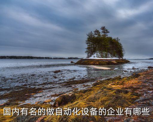 國內有名的做自動化設備的企業(yè)有哪些