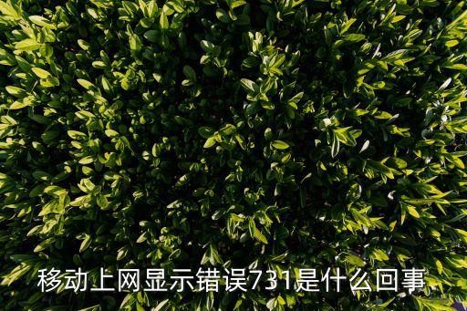 山東農(nóng)信智慧營銷平臺，移動上網(wǎng)顯示錯(cuò)誤731是什么回事