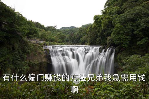 有什么偏門賺錢的方法兄弟我急需用錢啊
