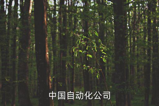 中國(guó)自動(dòng)化集團(tuán)宣瑞國(guó)，中國(guó)石化管道公司智能化管線推廣建設(shè)項(xiàng)目商儲(chǔ)庫(kù)部分調(diào)研報(bào)告討