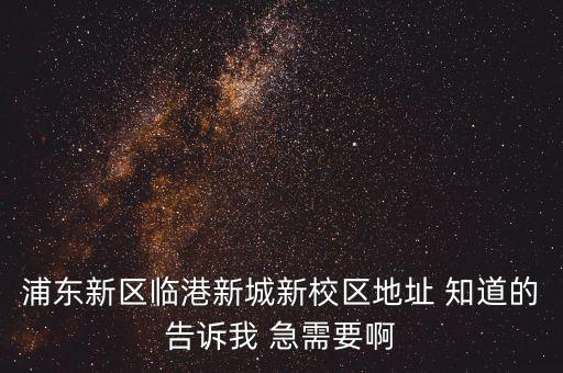 浦東新區(qū)臨港新城新校區(qū)地址 知道的告訴我 急需要啊