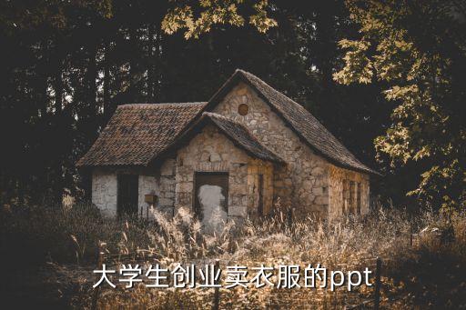 大學(xué)生創(chuàng)業(yè)賣衣服的ppt