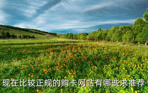 自助購卡平臺，現(xiàn)在比較正規(guī)的購卡網站有哪些求推薦