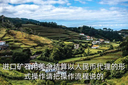 進(jìn)口礦石用美金結(jié)算以人民幣代理的形式操作請把操作流程說的
