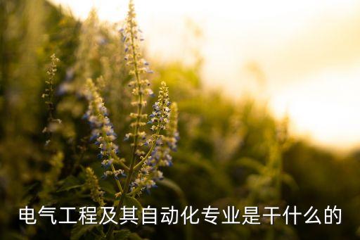 電氣工程及其自動化專業(yè)是干什么的