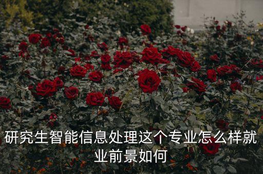 研究生智能信息處理這個專業(yè)怎么樣就業(yè)前景如何