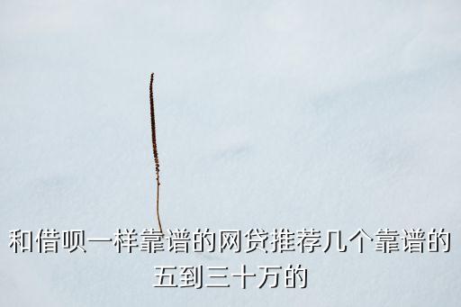 網(wǎng)貸哪家容易借又正規(guī)，除了借唄還有哪個網(wǎng)貸真正靠譜的