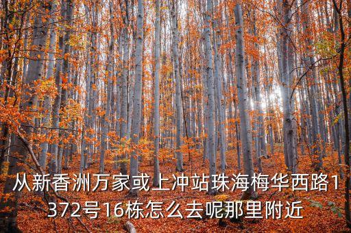 珠海時(shí)代都薈大境，了解珠海的樓盤