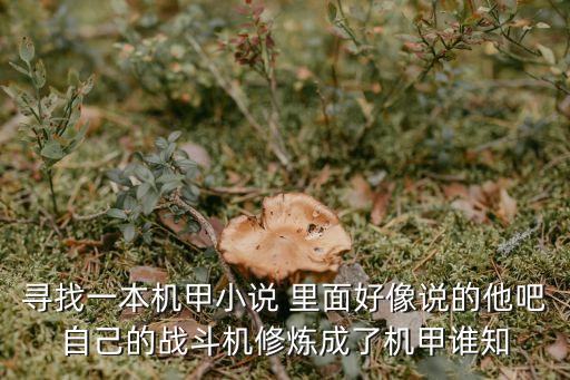 尋找一本機(jī)甲小說 里面好像說的他吧自己的戰(zhàn)斗機(jī)修煉成了機(jī)甲誰知