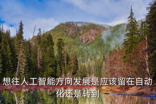 想往人工智能方向發(fā)展是應(yīng)該留在自動(dòng)化還是轉(zhuǎn)到