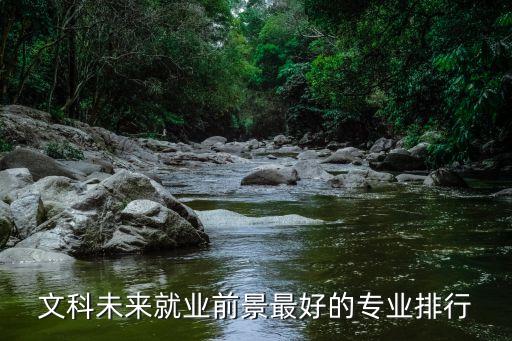文科未來就業(yè)前景最好的專業(yè)排行
