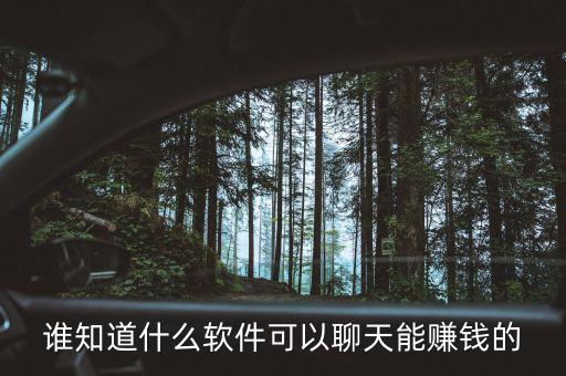 誰(shuí)知道什么軟件可以聊天能賺錢(qián)的