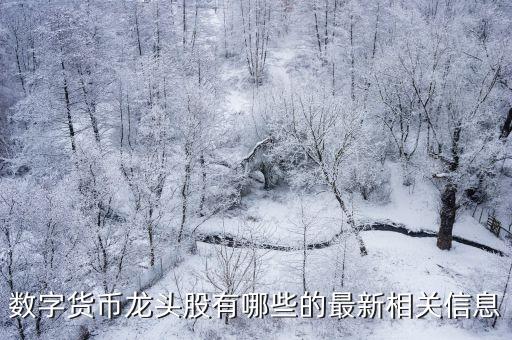 數(shù)字貨幣龍頭股有哪些的最新相關(guān)信息