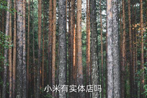小米有實體店嗎