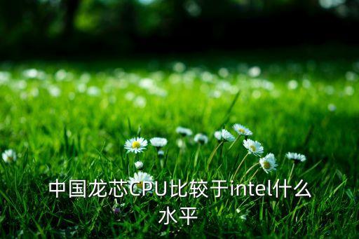 中國(guó)龍芯CPU比較于intel什么水平