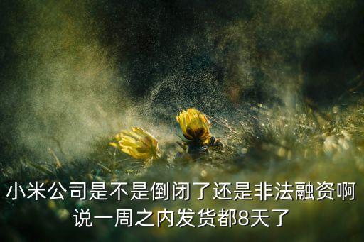 小米公司是不是倒閉了還是非法融資啊說一周之內(nèi)發(fā)貨都8天了