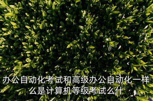 辦公自動化考試和高級辦公自動化一樣么是計算機(jī)等級考試么什