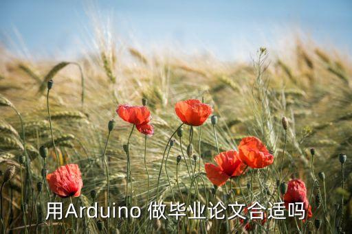 用Arduino 做畢業(yè)論文合適嗎