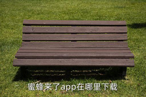 蜜蜂來了app在哪里下載