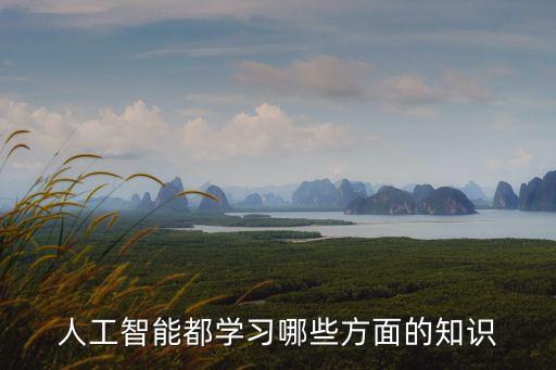 人工智能都學(xué)習(xí)哪些方面的知識(shí)