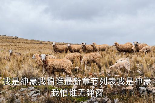 我是神豪我怕誰最新章節(jié)列表我是神豪我怕誰無彈窗